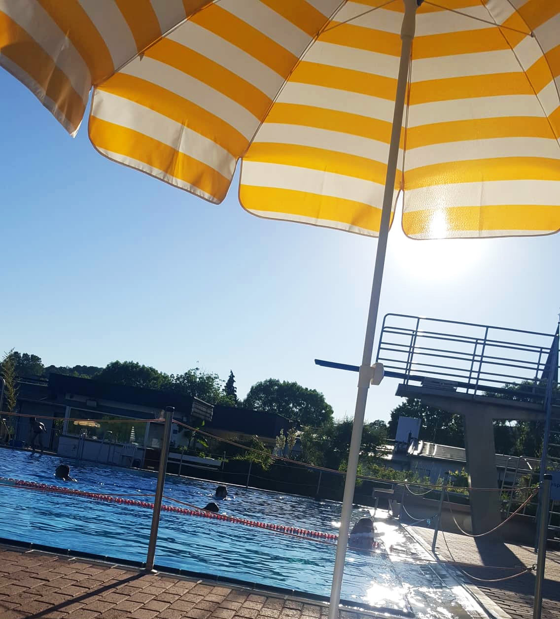 65670787_369925220381084_6503733036322914304_n